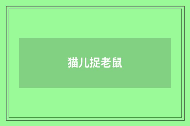 猫儿捉老鼠