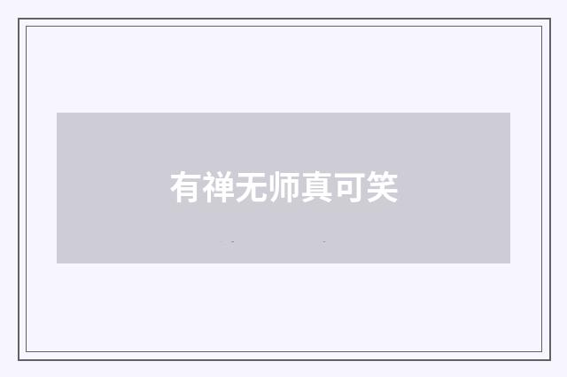 有禅无师真可笑