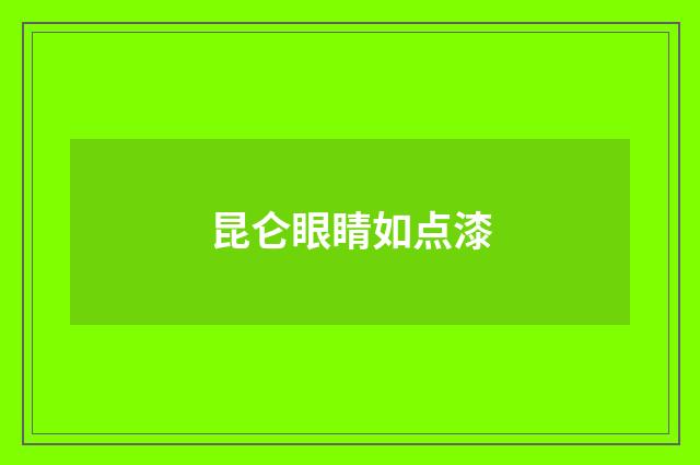 昆仑眼睛如点漆