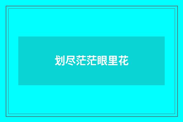 划尽茫茫眼里花