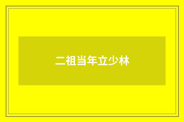 二祖当年立少林