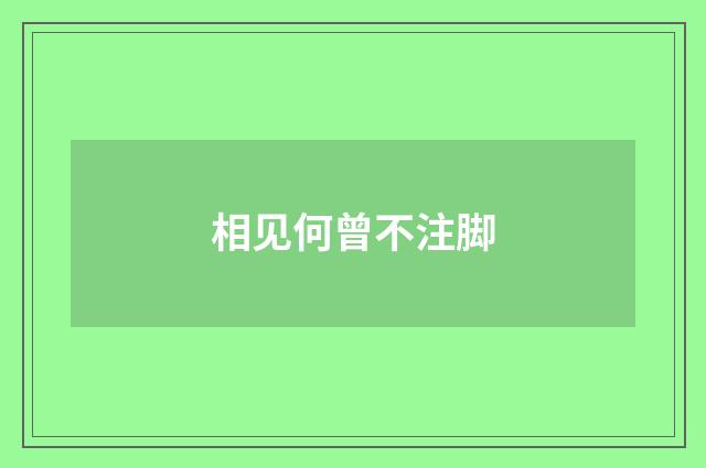 相见何曾不注脚