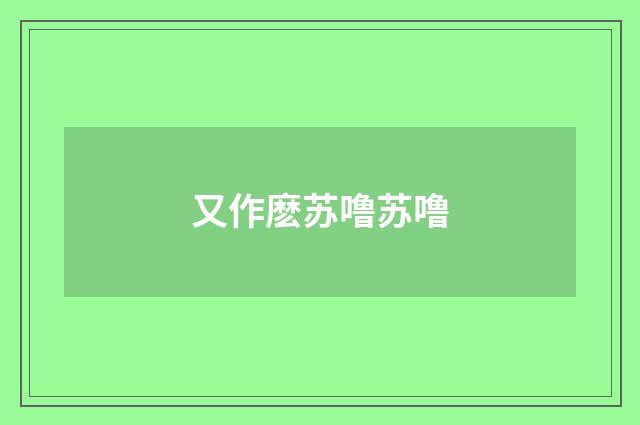 又作麽苏噜苏噜
