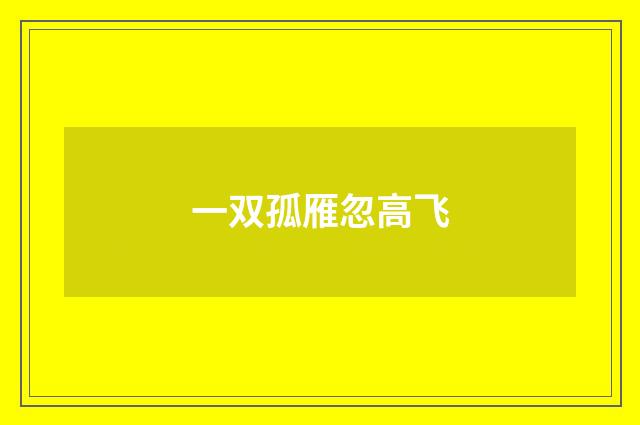 一双孤雁忽高飞