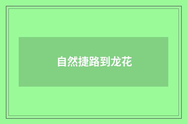 自然捷路到龙花