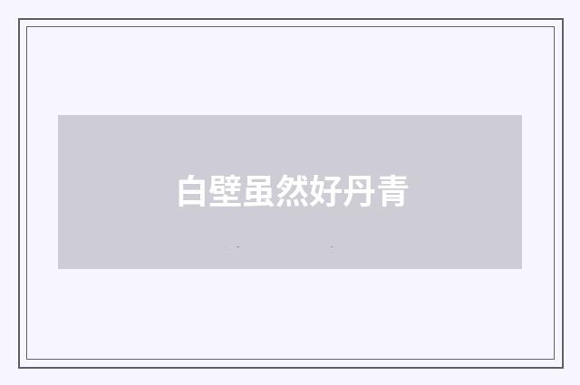 白壁虽然好丹青