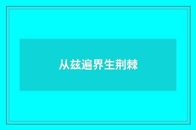 从兹遍界生荆棘