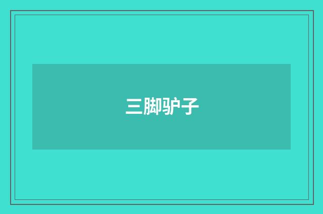 三脚驴子