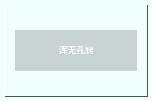 浑无孔窍