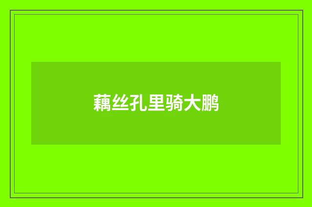 藕丝孔里骑大鹏