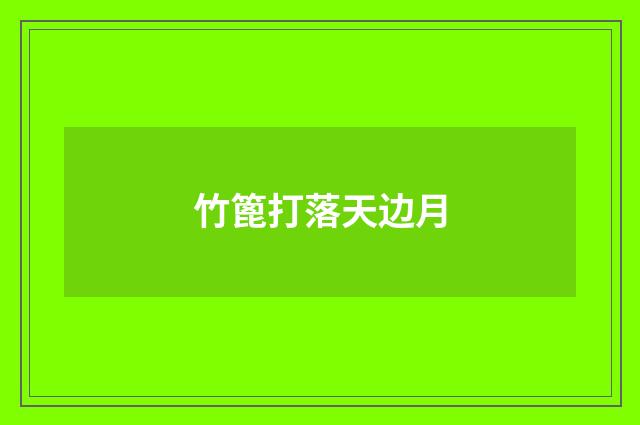 竹篦打落天边月