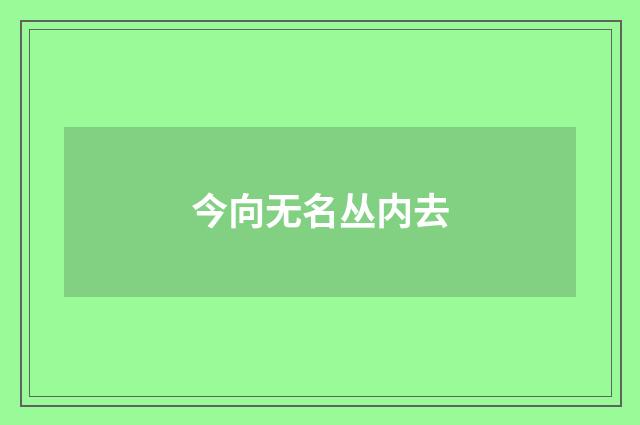 今向无名丛内去