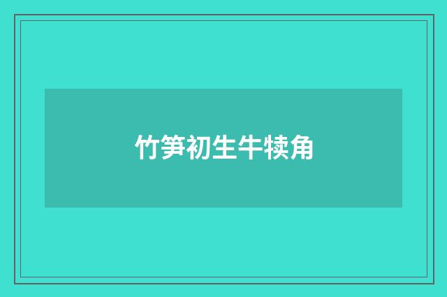 竹笋初生牛犊角