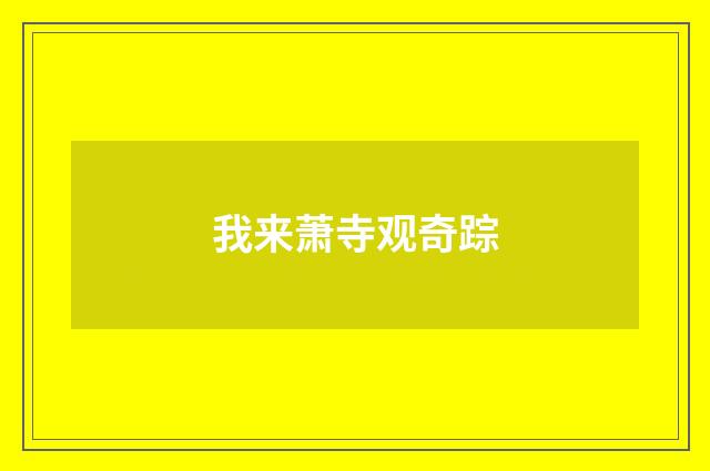 我来萧寺观奇踪