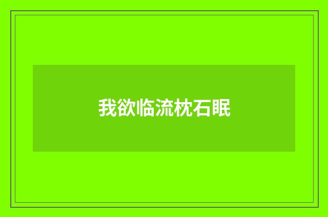 我欲临流枕石眠
