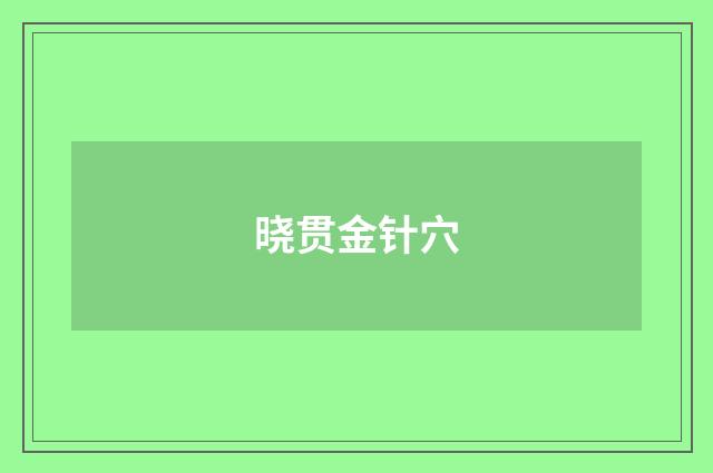 晓贯金针穴
