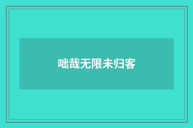 咄哉无限未归客