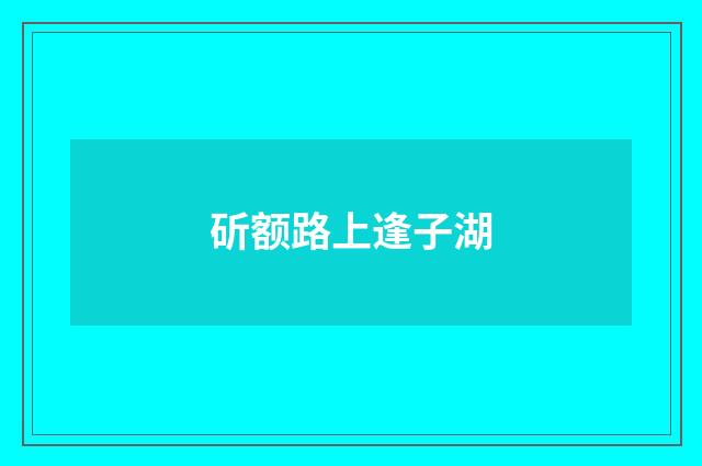 斫额路上逢子湖