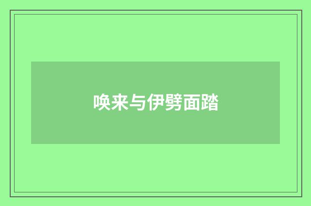 唤来与伊劈面踏