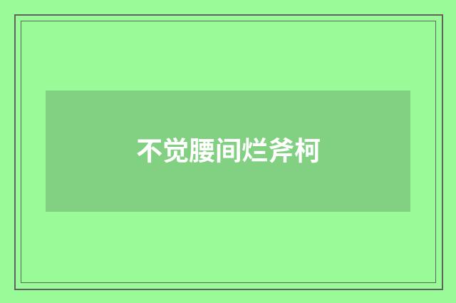 不觉腰间烂斧柯