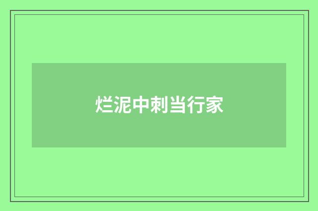 烂泥中刺当行家