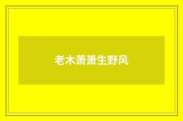 老木萧萧生野风