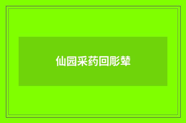 仙园采药回彫辇