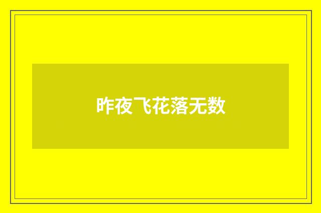 昨夜飞花落无数