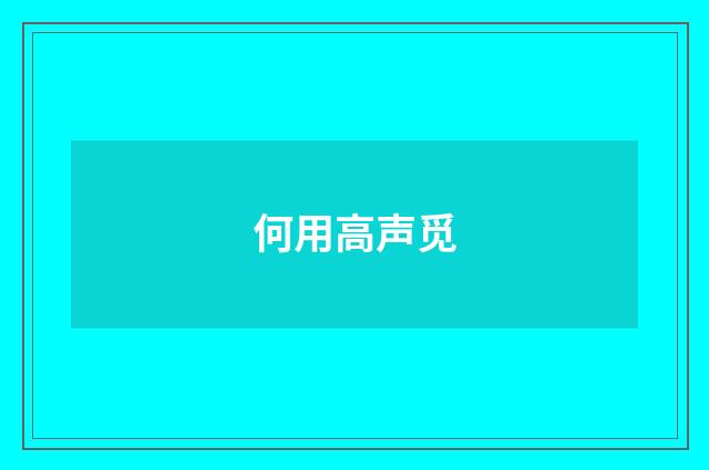 何用高声觅