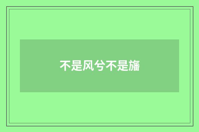 不是风兮不是旛