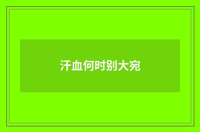 汗血何时别大宛