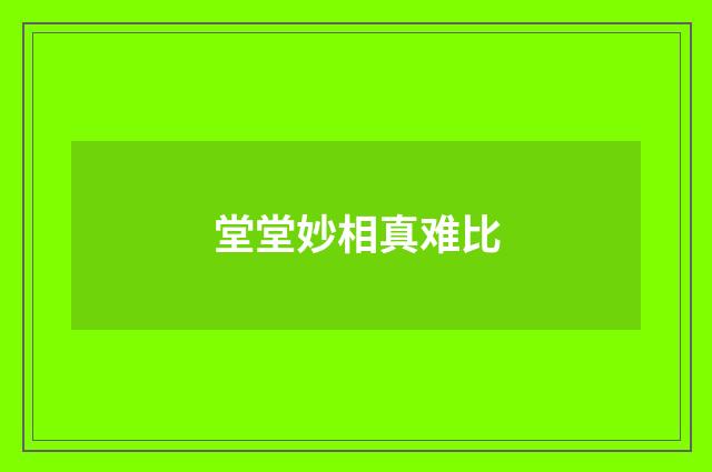 堂堂妙相真难比