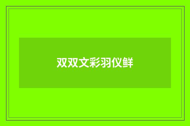 双双文彩羽仪鲜