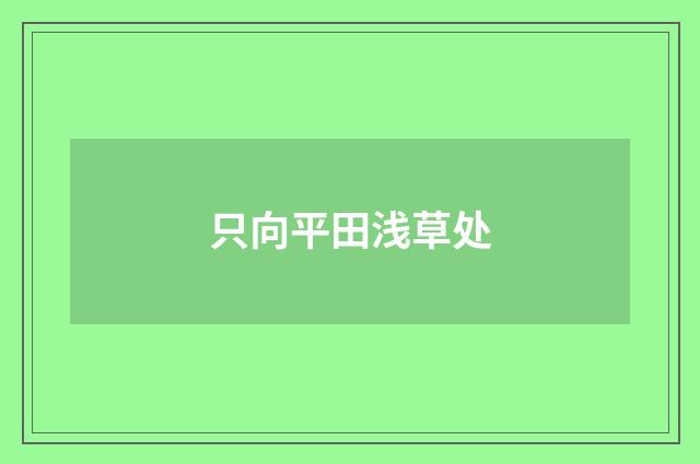 只向平田浅草处