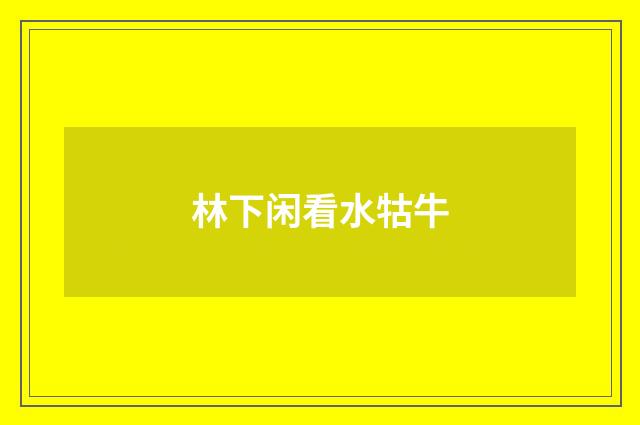 林下闲看水牯牛