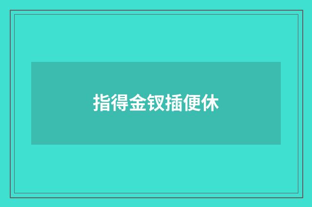 指得金钗插便休