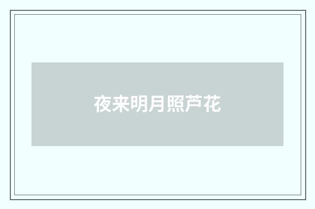 夜来明月照芦花