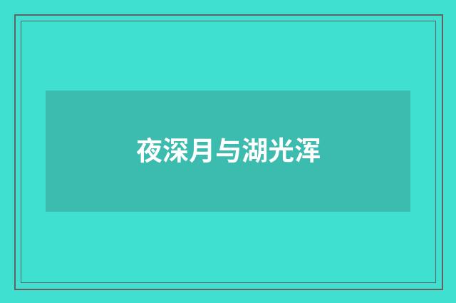 夜深月与湖光浑