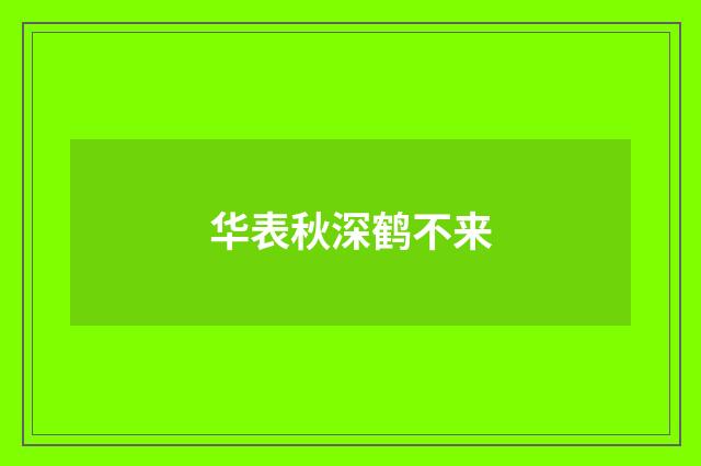 华表秋深鹤不来