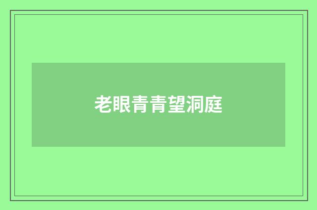 老眼青青望洞庭