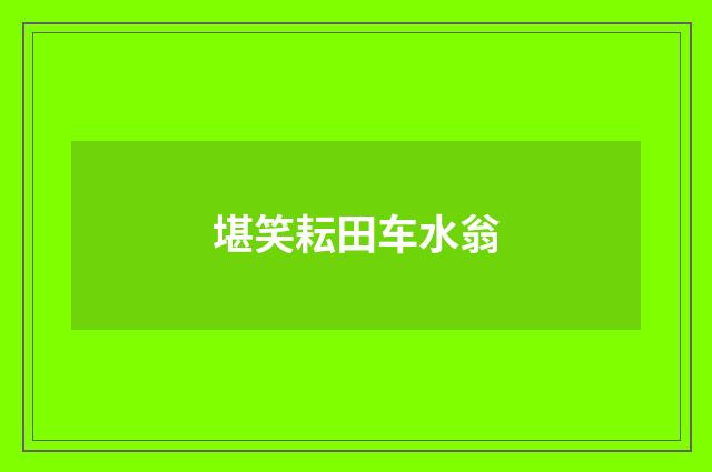 堪笑耘田车水翁