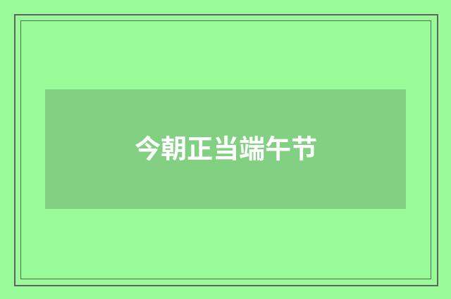 今朝正当端午节