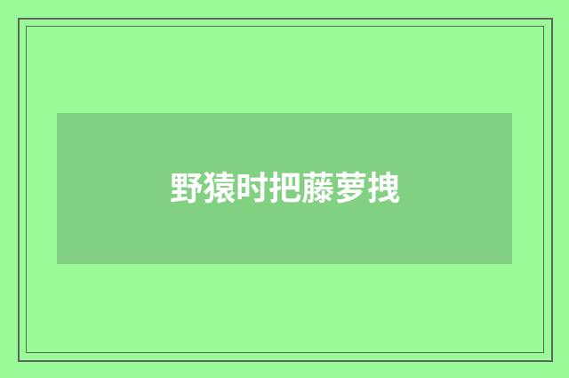 野猿时把藤萝拽