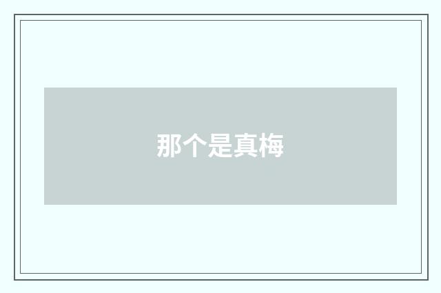 那个是真梅