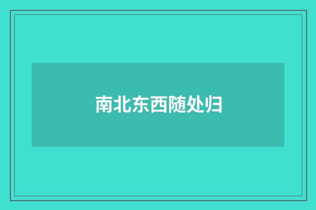 南北东西随处归