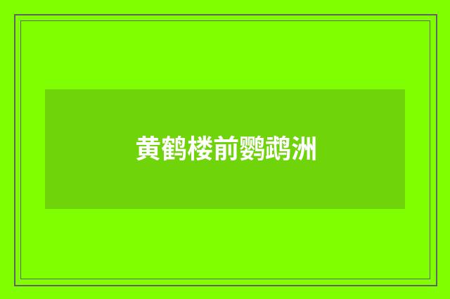黄鹤楼前鹦鹉洲