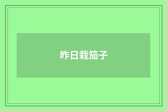 昨日栽笳子