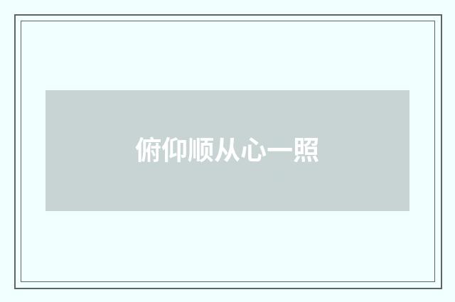 俯仰顺从心一照