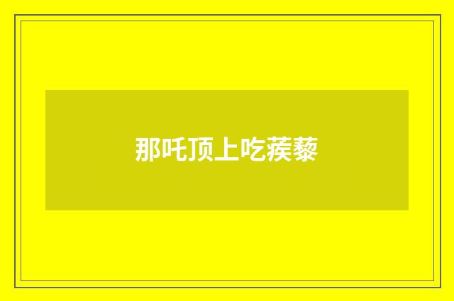 那吒顶上吃蒺藜