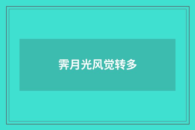 霁月光风觉转多